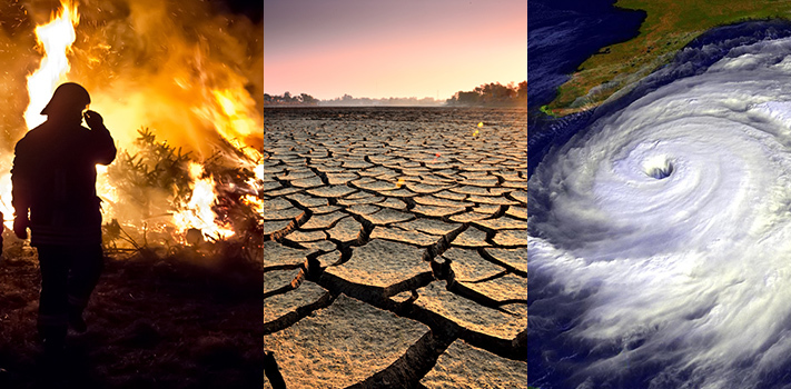 Climate change effects