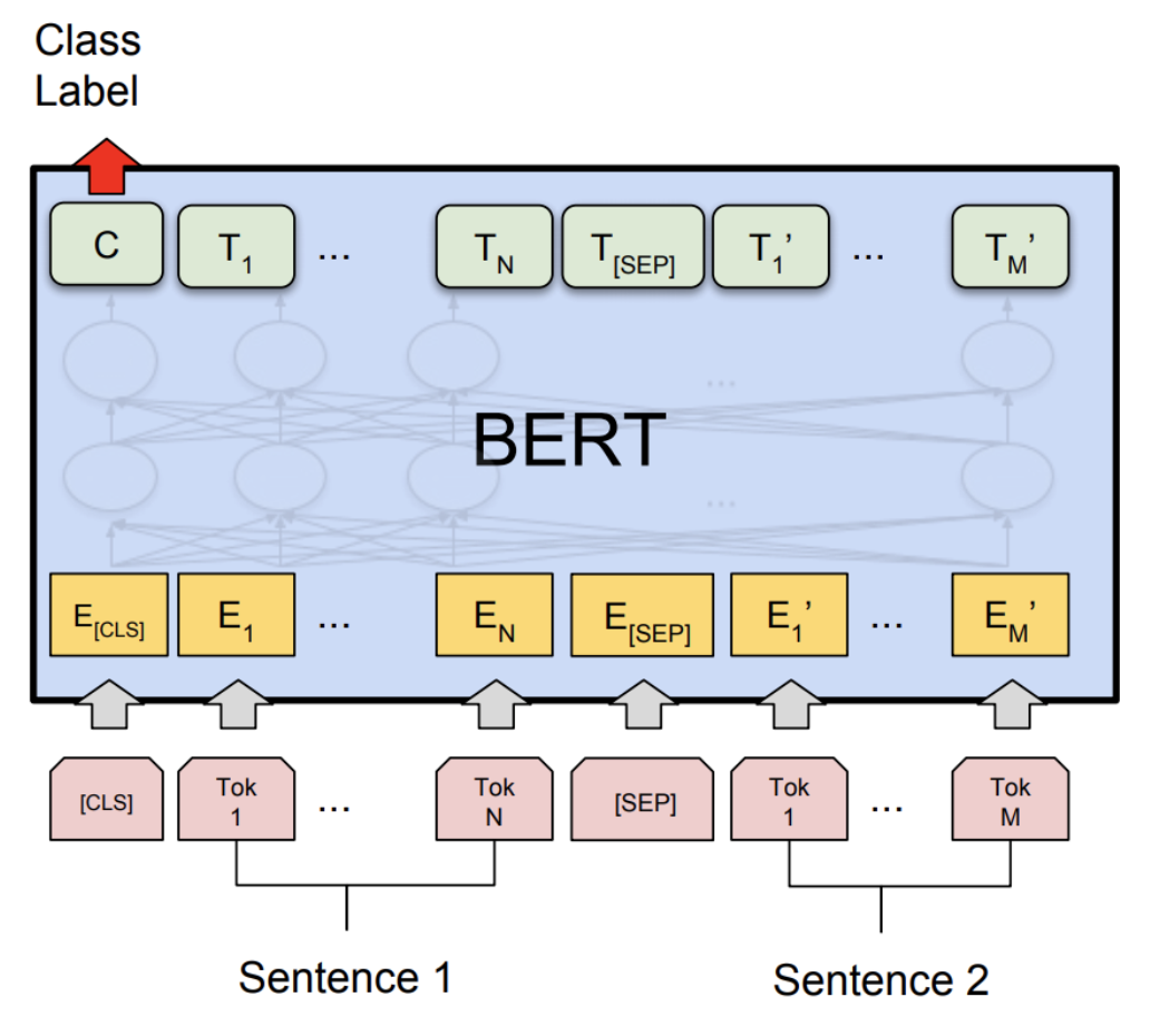 BERT model